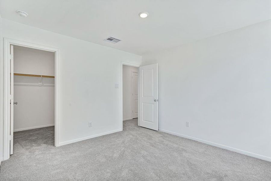 615 Yaupon Holly ~ Ready Now 615 Yaupon Holly ~ Ready Now