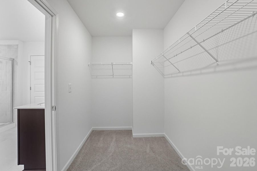 Spacious, unfurnished interior of a new home in Bellina, York (Image 26).