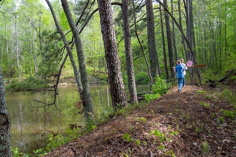 Image 15 of a home in Aster.