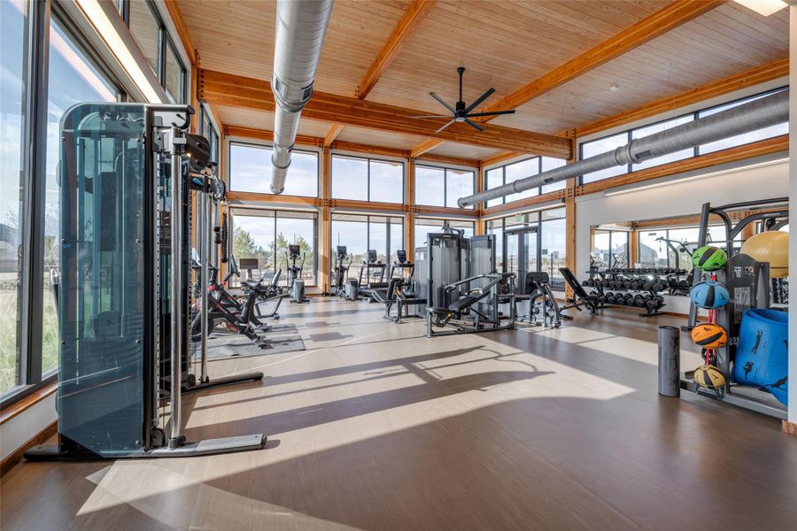 Image 28 of a home in Elyson. Image 28 of a home in Elyson.