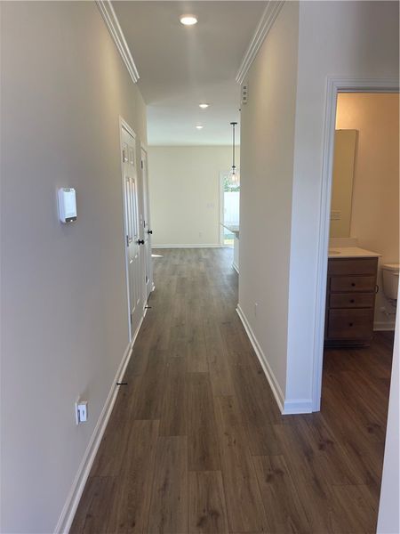 Spacious, unfurnished interior of a new home in Springwood Grove, Central (Image 9).