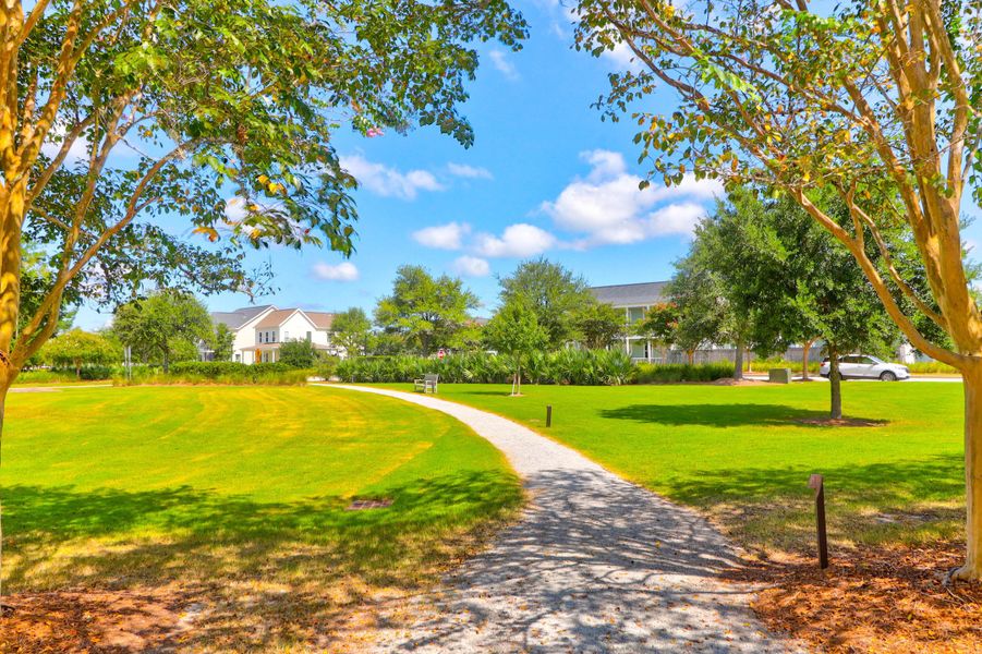 Natural landscape and outdoor views near Sweetgrass at Summers Corner: Arbor Collection in Summerville (Image 43).
