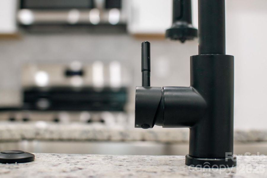 Black Faucet and modern Sink.