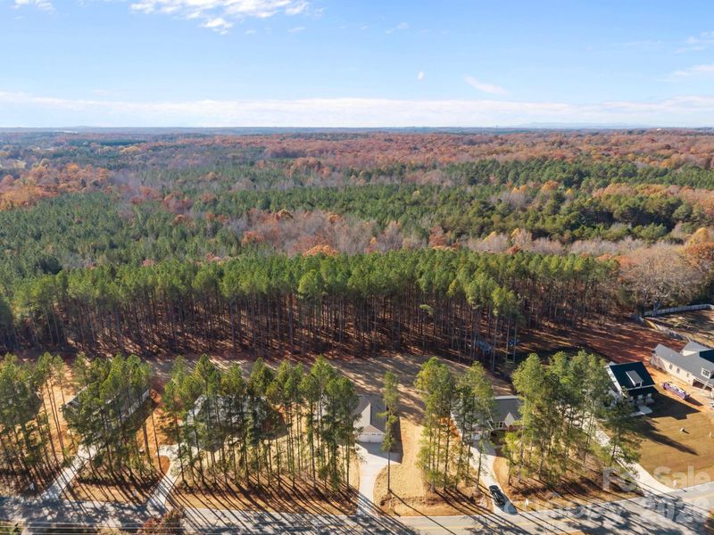 Natural landscape and outdoor views near  in Lincolnton (Image 33).