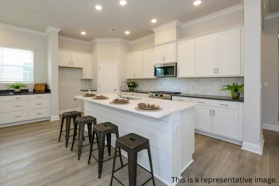 The Vibrant - Kitchen (Representative Photo)