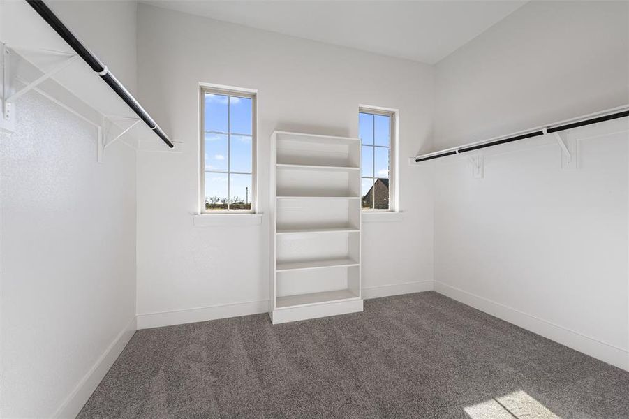 Walk in closet with carpet flooring