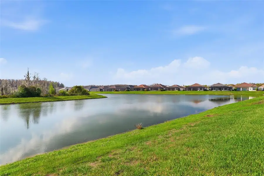 Natural landscape and outdoor views near in Wesley Chapel (Image 26). Natural landscape and outdoor views near in Wesley Chapel (Image 26).