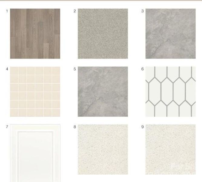 21249 Lake Run Drive design selections! This home is currently under construction and selections are subject to change
