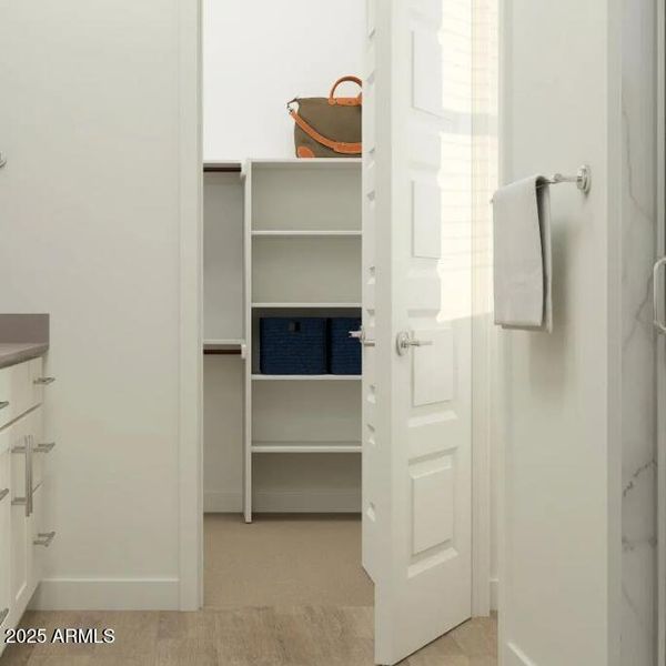 Owners Walk in Closet