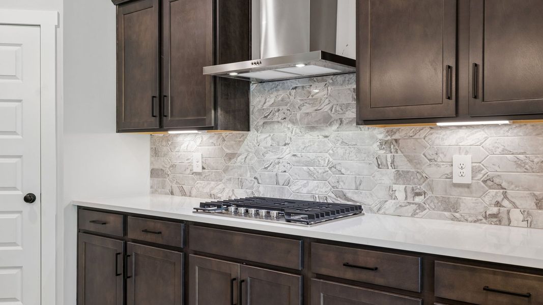 Representative interior finishes for a home built from the Ansley by D.R. Horton in Harvest Point, Spring Hill (Image 22).