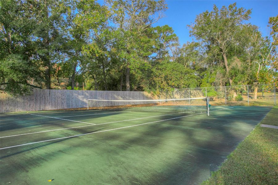 Natural landscape and outdoor views near in New Waverly (Image 12). Natural landscape and outdoor views near in New Waverly (Image 12).