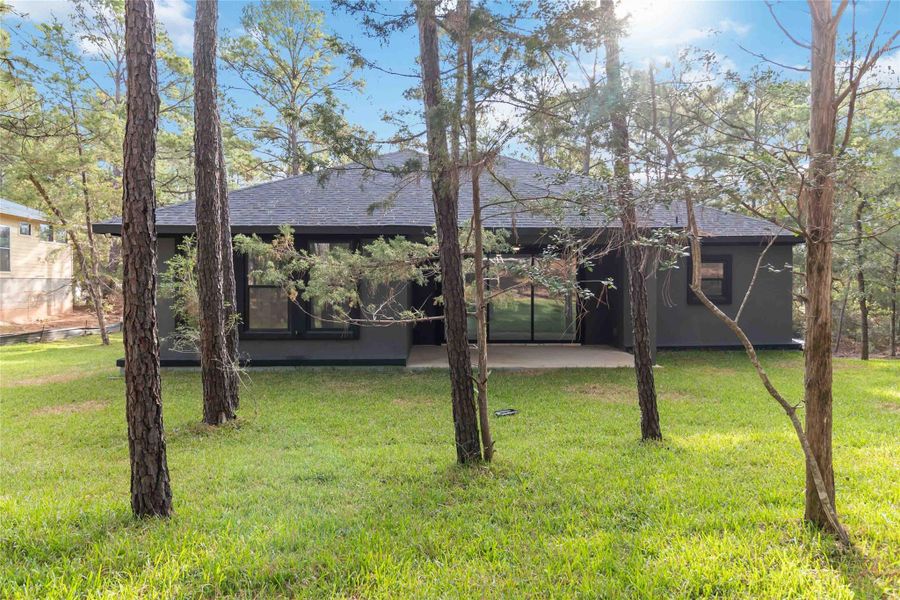 Rear view of house featuring a shingled roof, a lawn, and a patio