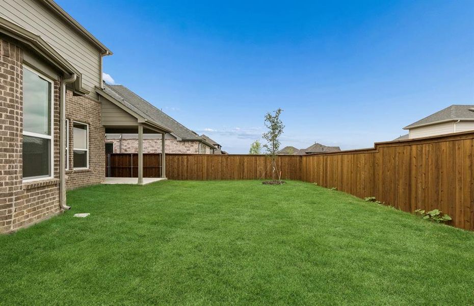 Large fenced-in backyard
