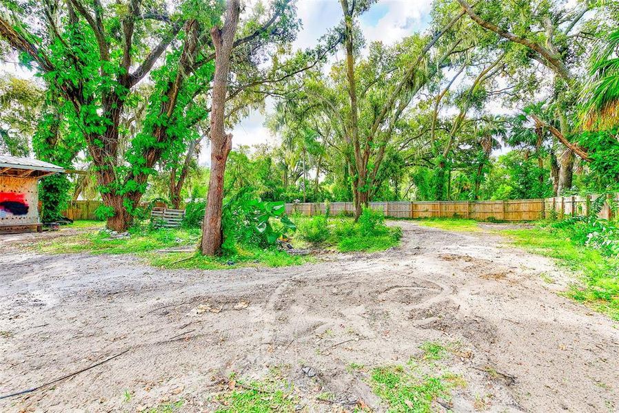 Natural landscape and outdoor views near  in Riverview (Image 13).