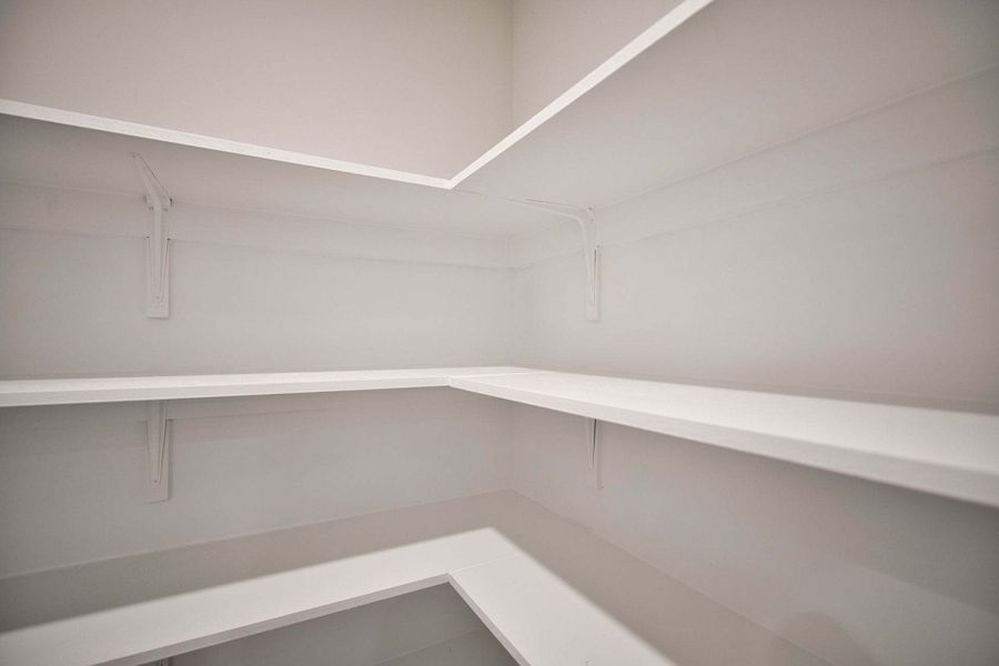 Upgraded Pantry Shelving