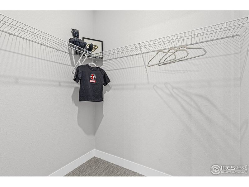 Spacious, unfurnished interior of a new home in Farmstead, Berthoud (Image 22).