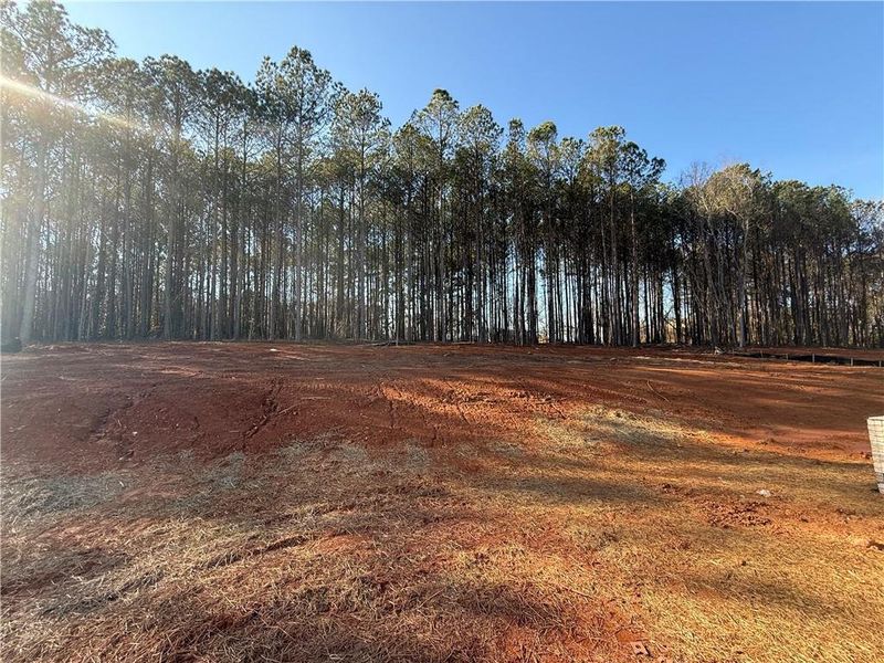 Site preparation for new homesites in The Reserve at Knollwood, Canton (Image 64). Site preparation for new homesites in The Reserve at Knollwood, Canton (Image 64).