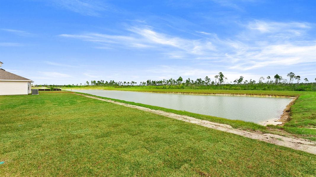 Natural landscape and outdoor views near Titus Park in Panama City (Image 36).