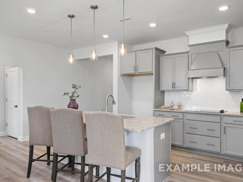Representative furnished interior of a home built from the The Daphne C by Davidson Homes LLC in Woodland Crossing, Zebulon (Image 9).