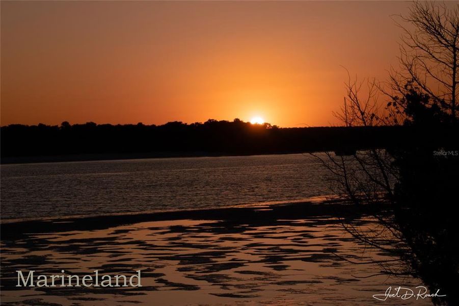 Natural landscape and outdoor views near  in Palm Coast (Image 22).