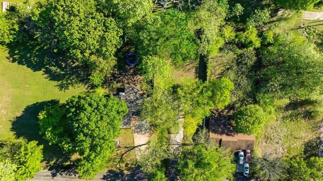 Natural landscape and outdoor views near  in Paris (Image 21).