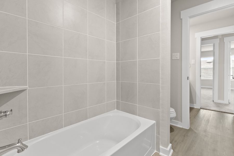 Tupelo II Representative Photography* Tupelo II Representative Photography*