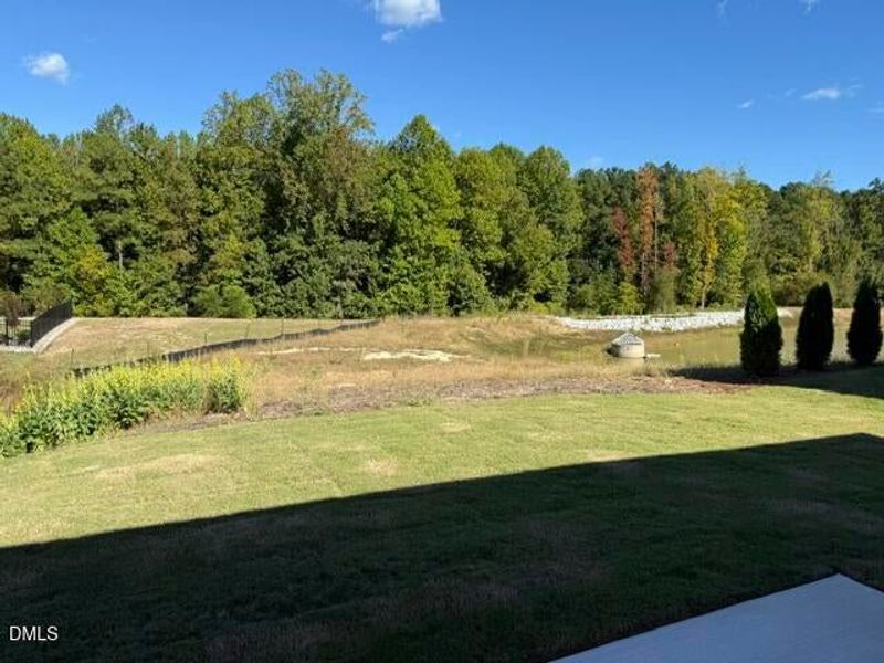 Natural landscape and outdoor views near The Walk at East Village in Clayton (Image 16).