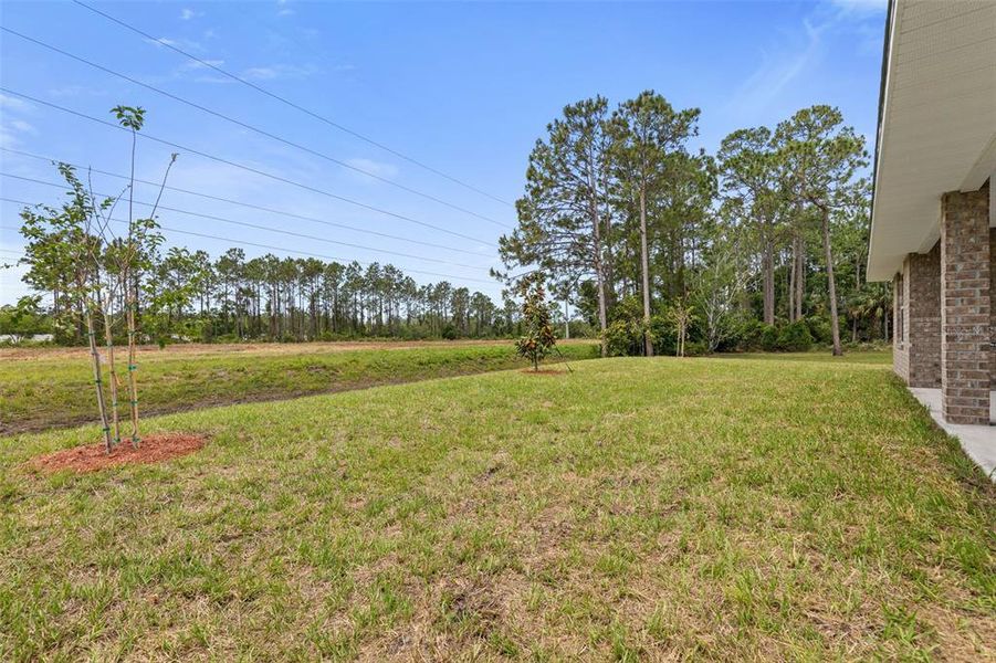 Exterior details and patio area of a home in Palm Coast, Palm Coast (Image 17). Exterior details and patio area of a home in Palm Coast, Palm Coast (Image 17).