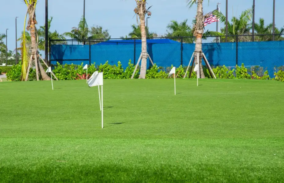PUTTING GREEN