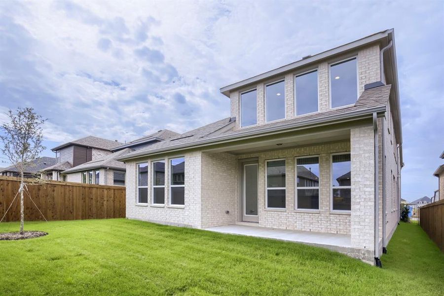 Expansive backyard featuring a lush lawn and a newly planted tree