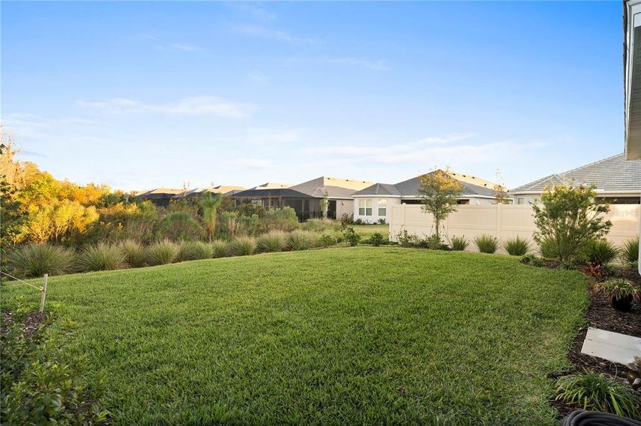 Natural landscape and outdoor views near Esplanade at Wiregrass Ranch in Wesley Chapel (Image 74).
