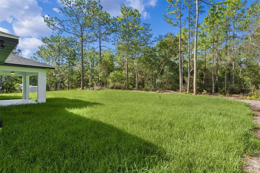 Natural landscape and outdoor views near  in Citrus Springs (Image 38).