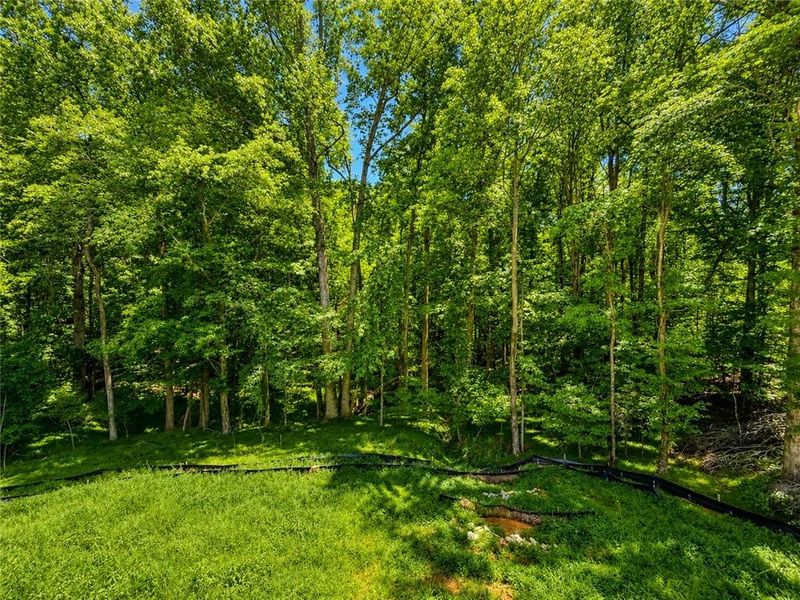 Natural landscape and outdoor views near  in Jefferson (Image 65).