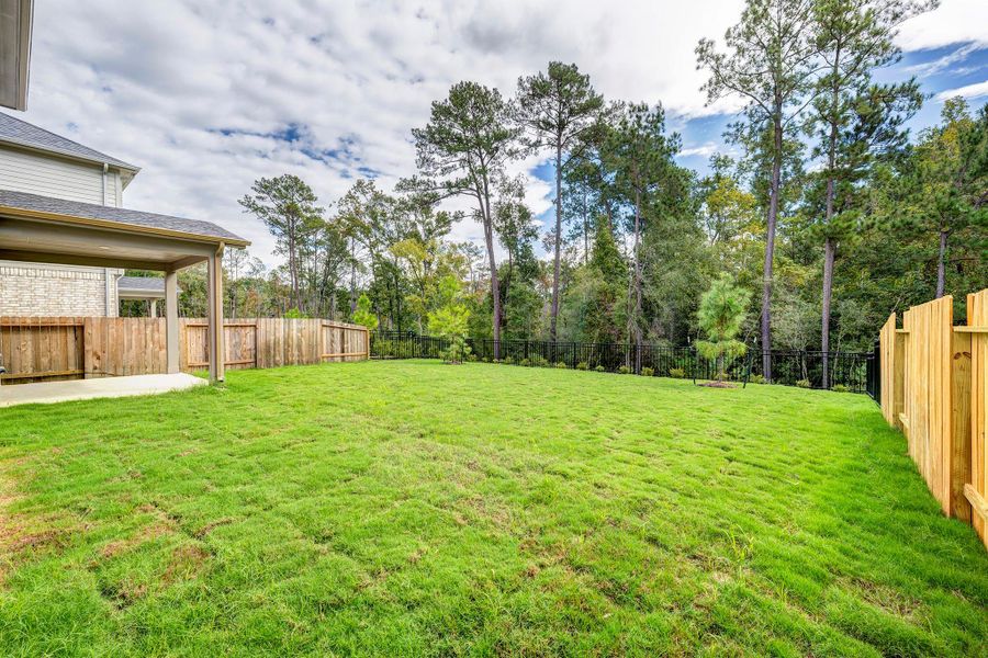 Backyard with No Rear Neighbors Backyard with No Rear Neighbors