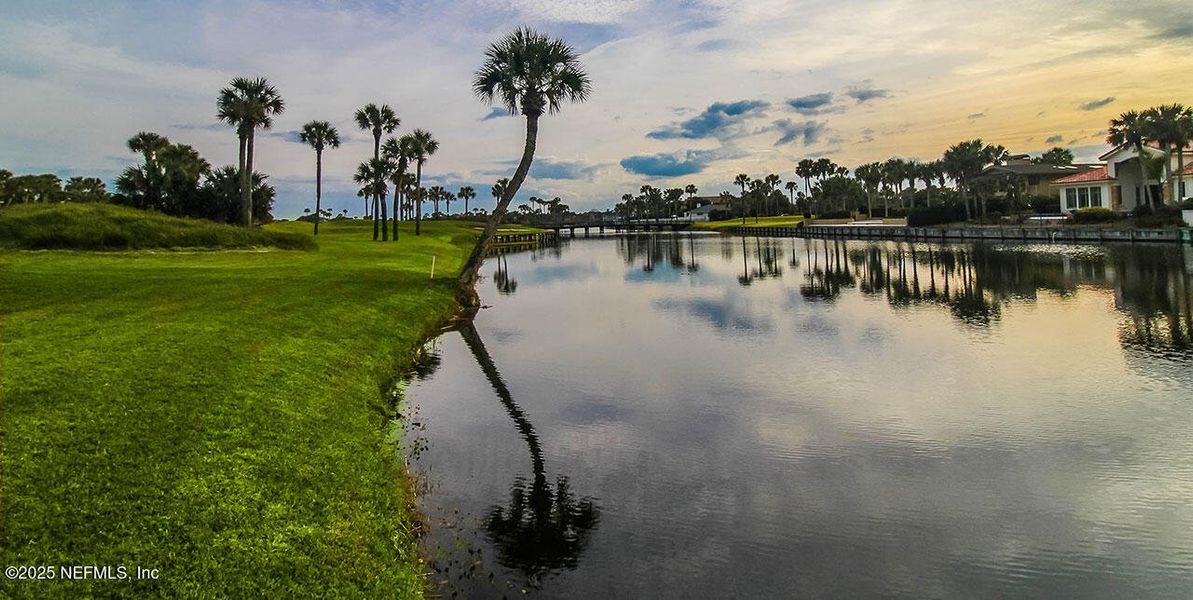 Natural landscape and outdoor views near  in Ponte Vedra Beach (Image 43).