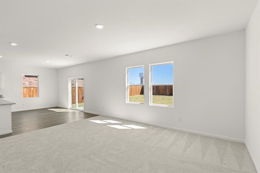 06. 1249 Herring - Family 06. 1249 Herring - Family