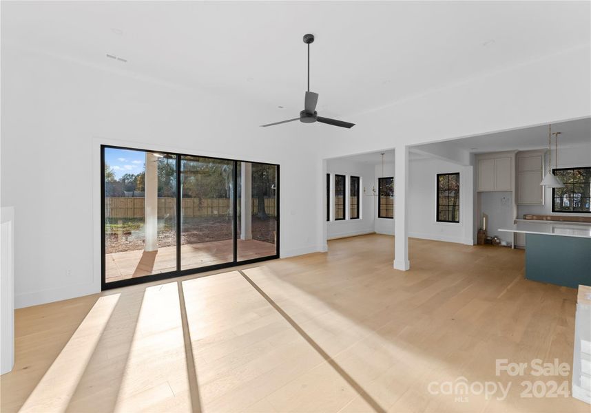 Great Room - 12 ft ceilings, custom sliding door