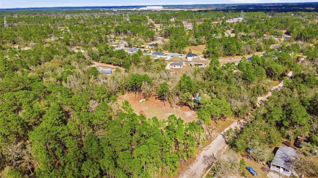Natural landscape and outdoor views near  in Dunnellon (Image 32).