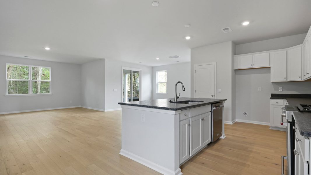 Image 15 representing the RUBY by D.R. Horton in Founders Corner, Summerville, SC.