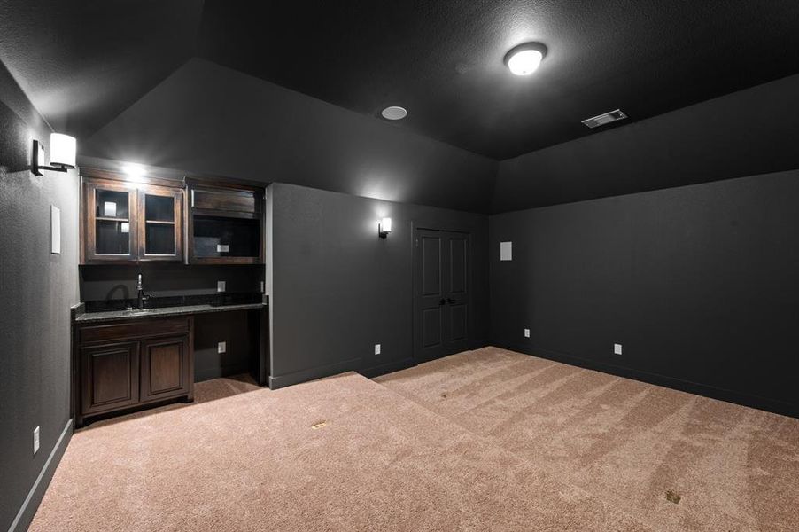 421 Willie- Media Room-1