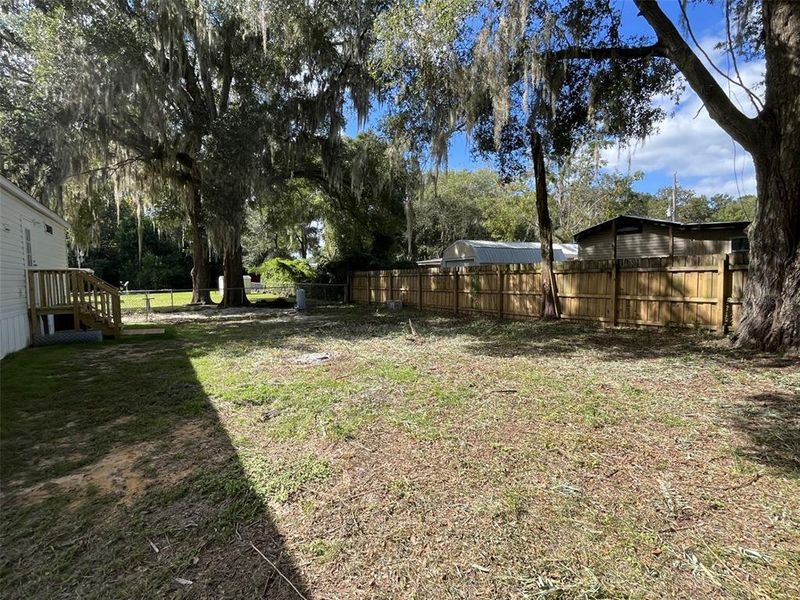 Natural landscape and outdoor views near in Ocala (Image 21). Natural landscape and outdoor views near in Ocala (Image 21).