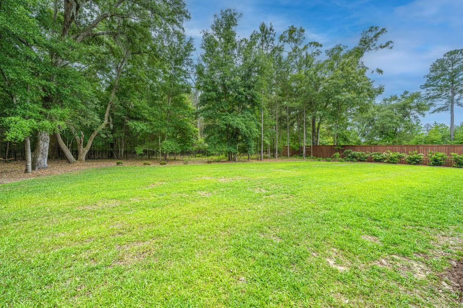 Natural landscape and outdoor views near Sea Island Preserve in Johns Island (Image 83).