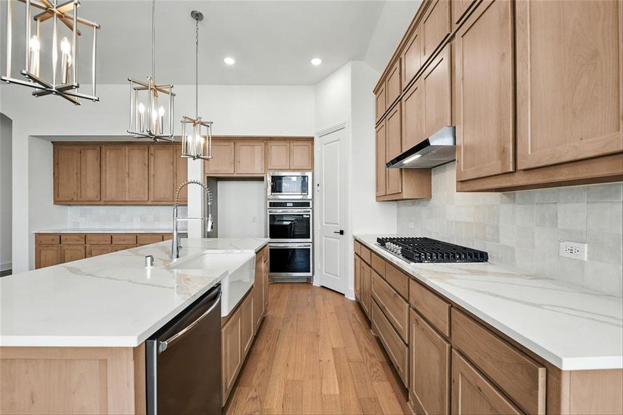 1636ShandyLnDENTR004