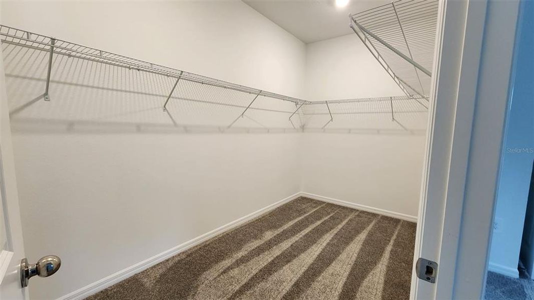 Spacious, unfurnished interior of a new home in Knightsbridge, Kissimmee (Image 13).