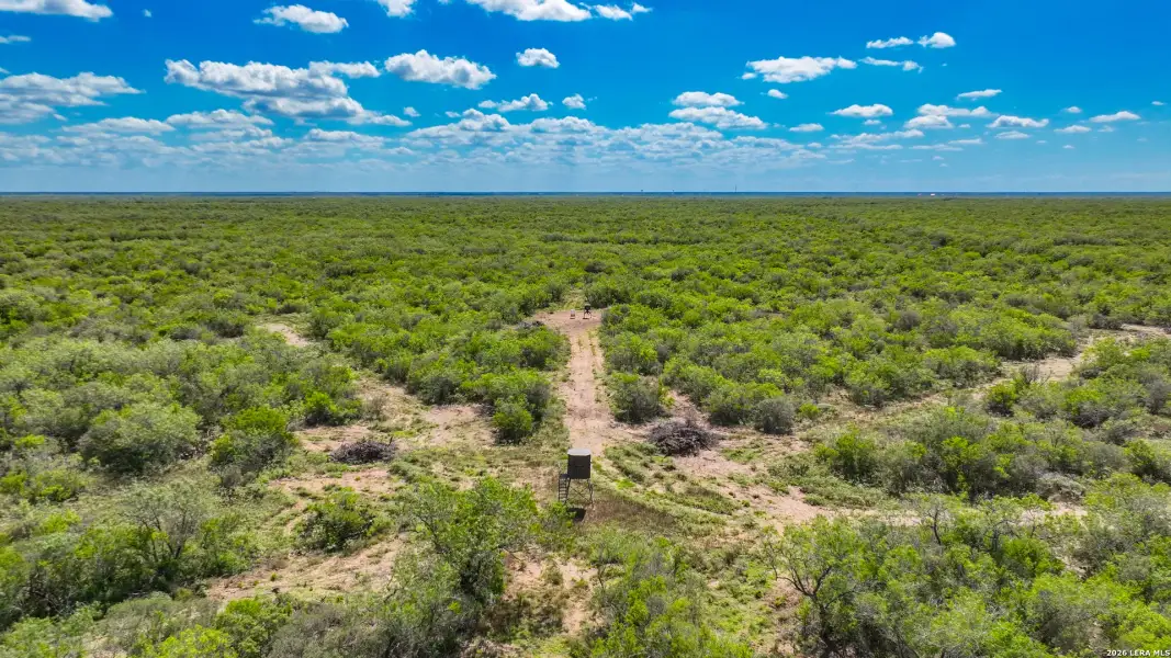 Natural landscape and outdoor views near  in Alice (Image 36).
