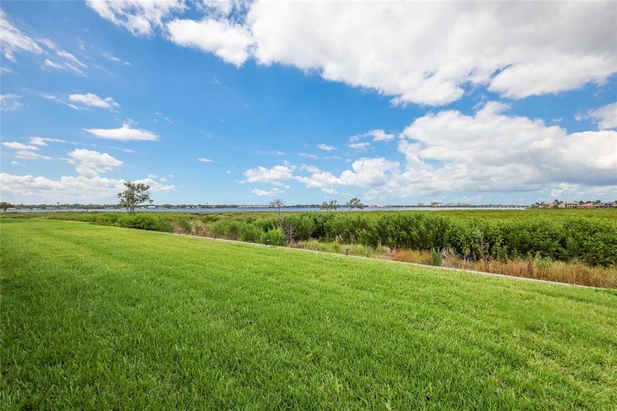 Natural landscape and outdoor views near  in Palmetto (Image 51).