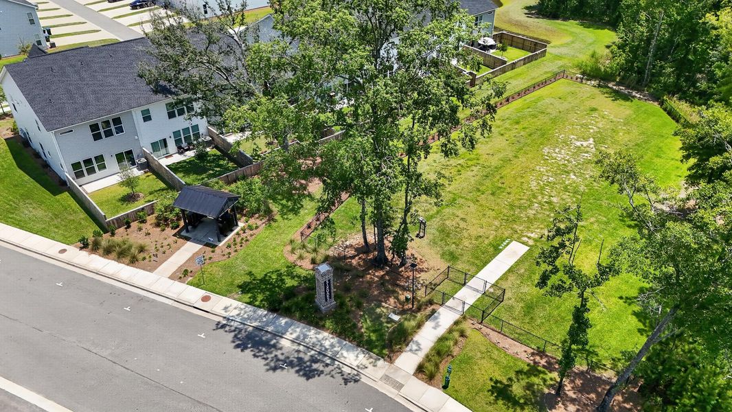 Natural landscape and outdoor views near in Summerville (Image 41). Natural landscape and outdoor views near in Summerville (Image 41).
