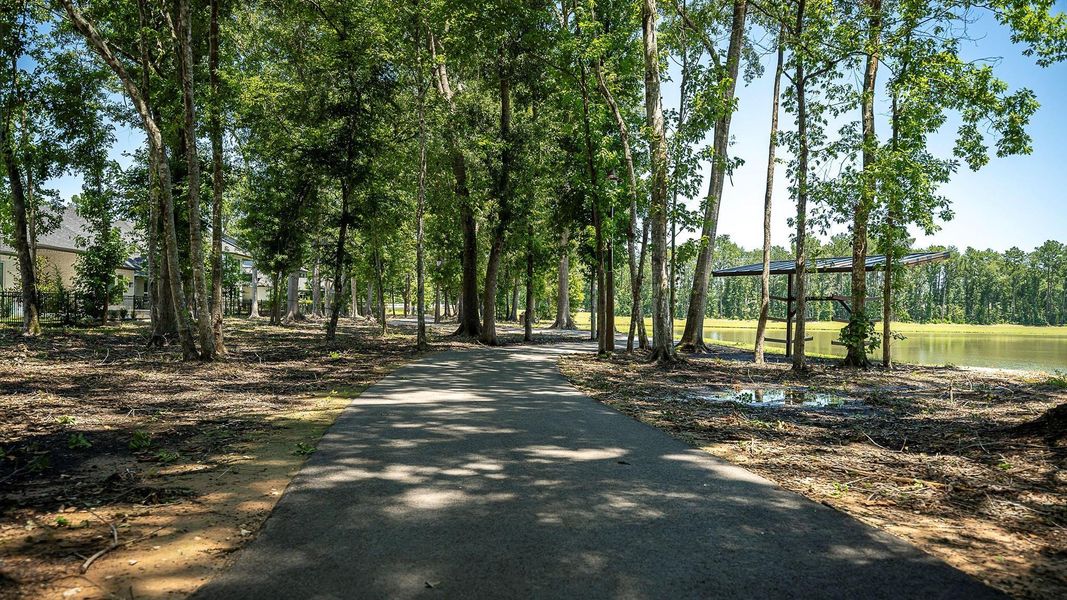 Image 14 of a home in The Highlands 45'.