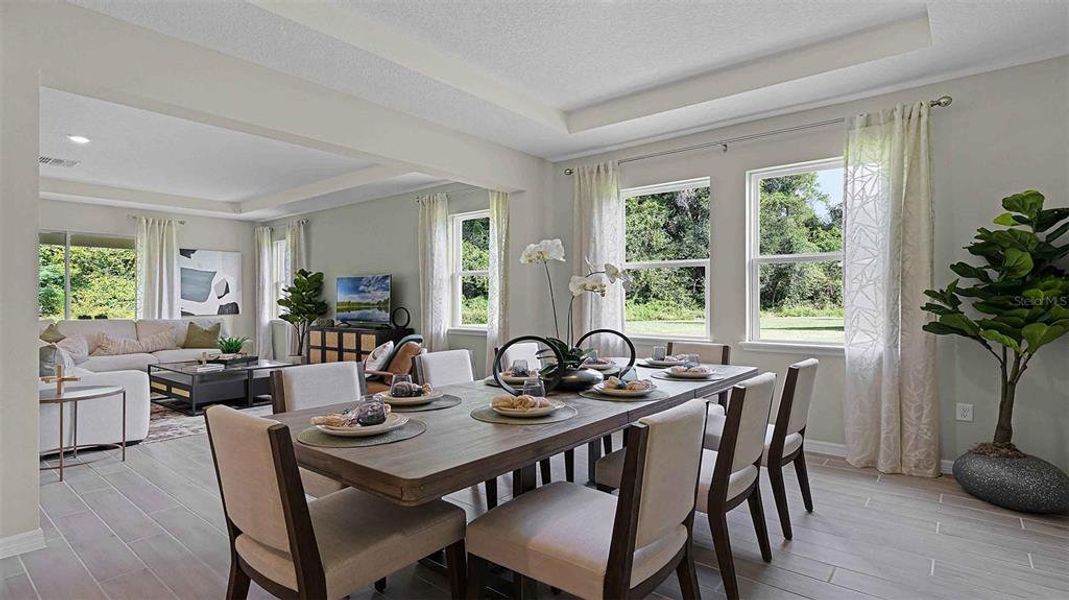 Furnished interior view inside a new home in Harmony West, St. Cloud (Image 17). Furnished interior view inside a new home in Harmony West, St. Cloud (Image 17).