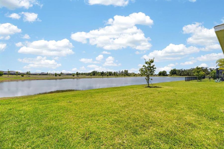 Natural landscape and outdoor views near  in Apollo Beach (Image 41).